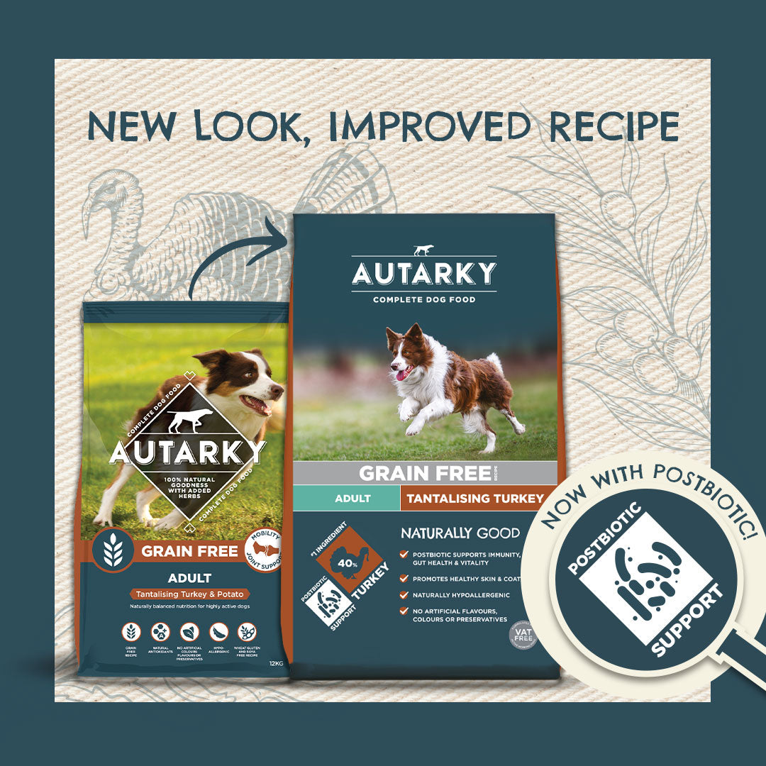 Autarky Complete Turkey Adult Dry Dog Food
