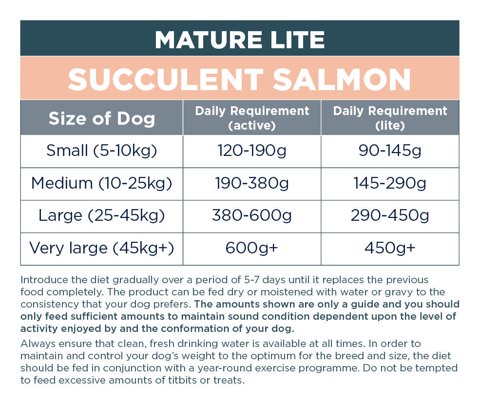 Autarky Complete Lite Salmon Mature Dry Dog Food